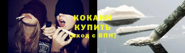 твердый Богородск