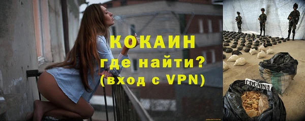 твердый Богородск