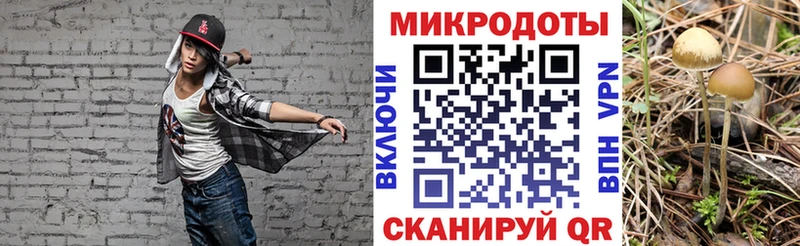 Псилоцибиновые грибы GOLDEN TEACHER  MEGA зеркало  Северодвинск 